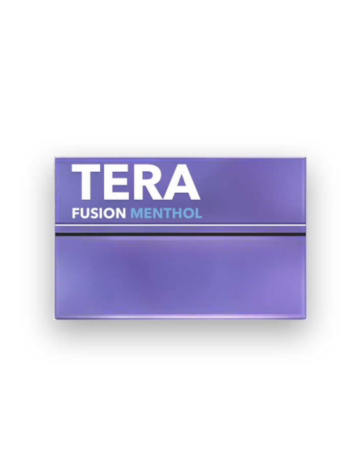 Tera Fusion Menthol Unique Flavor