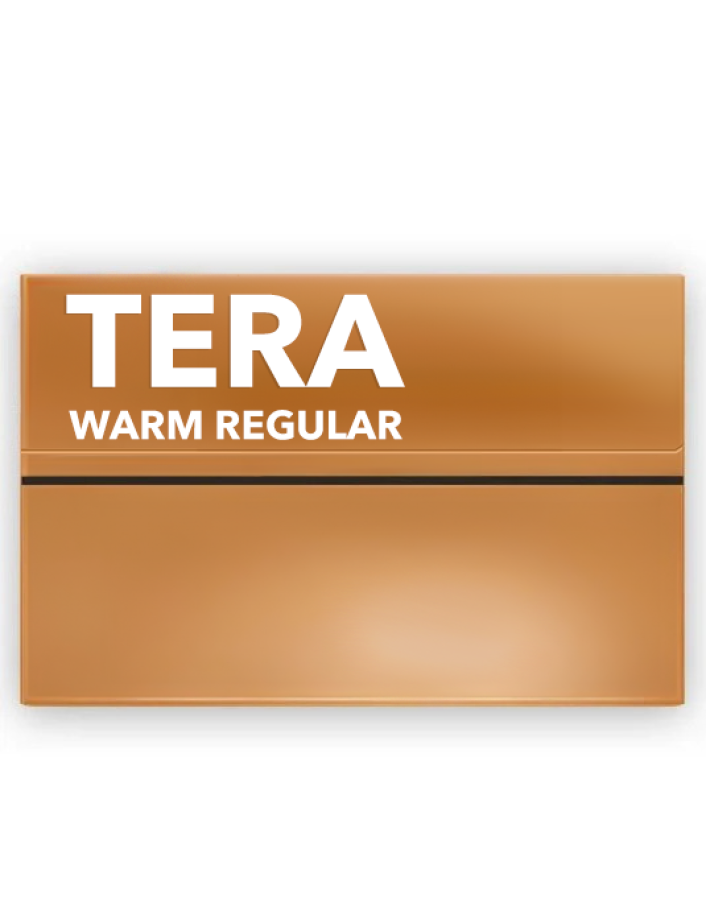 Tera Warm Regular Unique Flavor